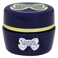 LEAFGEL PREMIUM サンディングフリー+(プラス) リーフジェル プレミアム LEAFGEL PREMIUM サンディングフリー+