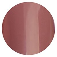 リーフジェル プレミアム ポリッシュタイプ カラー Ｐ１５ ディスタンクシオン 1個（直送品）