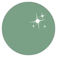 リーフジェル プレミアム カラージェル 462 グレイッシュミント ４ｇ 1個（直送品）