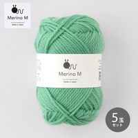 原ウール Knitworm メリノM エメラルドグリーン 1セット（5玉）（直送品）