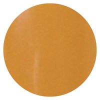 リーフジェル プレミアム カラージェル 502 ドゥー・ブリズ ４ｇ 1個（直送品）