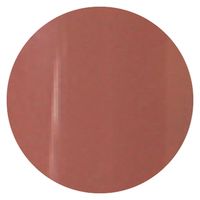 リーフジェル プレミアム カラージェル 401 ＭＩＹＡＢＩ（ミヤビ） ４ｇ 1個（直送品）