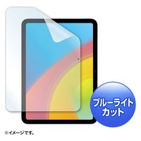 サンワサプライ 第10世代iPad10.9インチ用ブルーライトカット指紋防止光沢フィルム LCD-IPAD22BC 1枚（直送品）