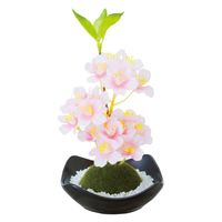 カメヤマ フレグランス 苔玉 盆栽