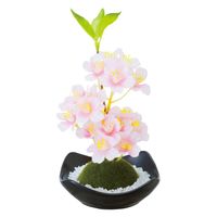 カメヤマ フレグランス 苔玉 盆栽 桜 369644 1個（直送品）