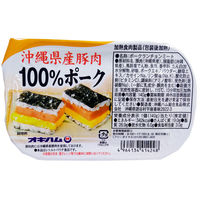 沖縄ハム総合食品 沖縄ハム 沖縄県産豚肉100％ポーク 140g×5個 4964134414248 1箱(5個)（直送品）