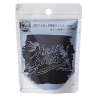 アサヒペン AP 水性多用途マット ジェットブラック 55ml 9019054 1パック（直送品）