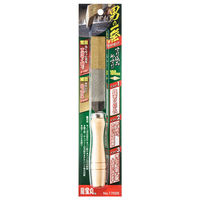 高芝ギムネ製作所 龍宝丸 1702E 一発すり込みやすり100mm 1個（直送品）