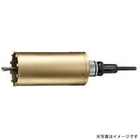 BM AMB-120 X[p[n[hRAh AMC 1{ nEXr[Giij