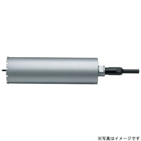 BM SPG-40 湿式ダイヤ用スポンジ　1個 ハウスビーエム（直送品）