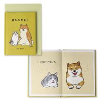 日本ホールマーク グリーティングカード 多目的絵本カード 大切なキミへ2 816841 3枚（直送品）