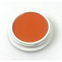 アイーダ 舞台屋 ペイントカラー No.5 4580255650640 1セット（2個入）（直送品）