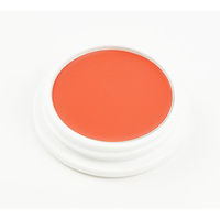 アイーダ 舞台屋 ペイントカラー No.5A 4580255650657 1セット（2個入）（直送品）