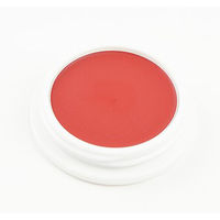 アイーダ 舞台屋 ペイントカラー No.4B 4580255650626 1セット（2個入）（直送品）