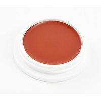 アイーダ 舞台屋 ペイントカラー No.10A 4580255653016 1セット（2個入）（直送品）