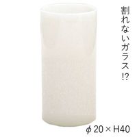 ホワイエ PVシリンダーWH φ20xH40 2300013WH 1個（直送品）