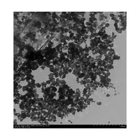 アズワン 酸化タングステン ナノ粒子 65-0502-87 1個（直送品）