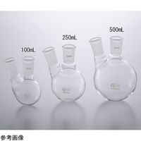 アズワン 丸底フラスコ(二口)24/40 100mL 059.470.05A 1個 4-4122-01（直送品）