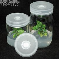 アズワン 植物培養容器 ベント付きフタ 10個入 C170-10EA 1箱(10個) 4-4848-04（直送品）