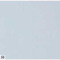 トラスコ中山 TRUSCO エアーシャワー用粘着シート(穴なし) 300X300 30枚 高粘度 白 ASSF-3030W 1シート(1SHT)（直送品）