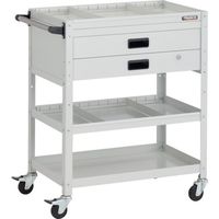 RBW-973S2XH W（直送品）