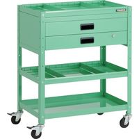 RBW-973S2XH YG（直送品）