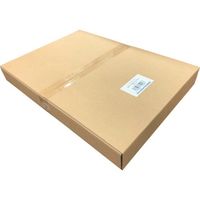 大王製紙 レーザーピーチ SETYー60強粘 A3(200枚入) SETY60A3 1箱(200枚) 373-4968（直送品）