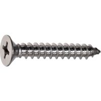 TRUSCO 皿頭タッピングねじ 1種A ステンレス M3×35 270本入 ヘキサゴンパック S024-0335 1缶(270本)（直送品）