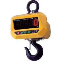 クボタ計装 クボタ 防水・防塵直示式ホイストスケール1000kg用(検定付) HS-CD-10-K 1台 805-1014（直送品）
