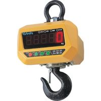 クボタ計装 クボタ 防水・防塵直示式ホイストスケール5000kg用(検定付) HS-CD-50-K 1台 838-4326（直送品）