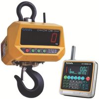 クボタ計装 クボタ 防水・防塵直示無線式ホイストスケール500kg(検定付) HS-CD-W-05-K 1台 805-1025（直送品）