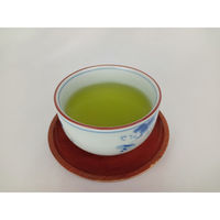 桃翆園 業務用　緑茶ティーバッグ　（5g×100p）×5 4975115509501 1箱（直送品）