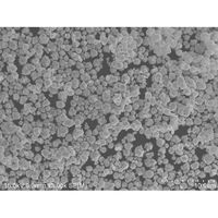 アズワン 銀粉末粒子 65-0502-91 1個（直送品）