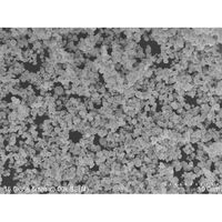 アズワン 銀サブミクロン粒子 65-0502-92 1個（直送品）