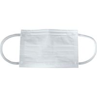 トラスコ中山 TRUSCO 【売切廃番】 デイリーマスク(プレミアムタイプ)3層(50枚入) DPM-DM99S 1箱(50枚)（直送品）