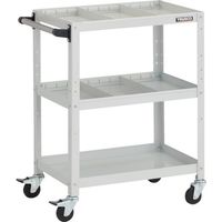 RBW-863S2H W（直送品）