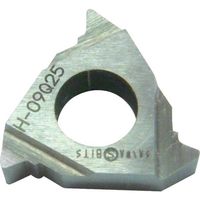 三和製作所 三和 外径三角ネジ切チップ 09Q25 1セット(10個) 816-6625（直送品）