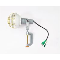 日動工業 安全投光器 白熱球(レフ球) AF-E500 1セット(2個)（直送品）