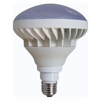 東京メタル工業 屋外レフ電球２００Ｗ相当　屋外型LED電球 LDR18Ｌ200-TM 1セット(10個入)（直送品）