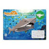 hacomo kids 水族館シリーズ サメ ダンボール工作キット 4562201013709 6セット（直送品）