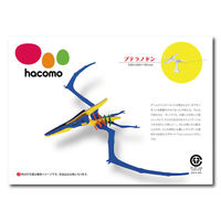 hacomo kids 恐竜シリーズ プテラノドン ダンボール工作キット 4562201012788 10セット（直送品）