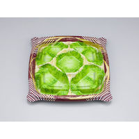 オードブル容器　NU盛ブル23-23 アラモード本体　280枚(10枚×28) 0621232306915　シーピー化成（直送品）