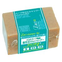 ケイビイラボ ルース シャンプーバー 4589478260308 150G×20点セット（直送品）