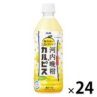 アサヒ飲料 「愛媛県産河内晩柑＆カルピス」 500ml 1箱（24本入）
