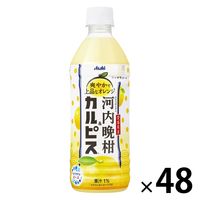 アサヒ飲料 「愛媛県産河内晩柑＆カルピス」 500ml 1セット（48本）