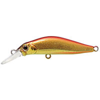 ジャクソン JS 奏カナデ 60 CGR アカキン 4511729636822 1個（直送品）