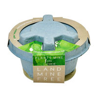 聖新陶芸 聖新 GD-94802 PLANTS MINE バジル　1個（直送品）