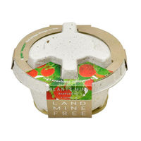 聖新陶芸 聖新 GD-94803 PLANTSMINEワイルドストロベリー　1個（直送品）