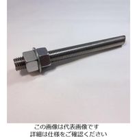 エスコ M20x300mm/ユニクロ寸切ボルト・ナット付ケミカルアンカー EA947AL-232 1セット(3セット)（直送品）