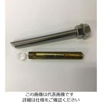 エスコ M16x180mm/SUS 寸切ボルト・ナット付ケミカルアンカー EA947AL-121 1セット(5セット)（直送品）